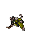 1st Mate Ratticus