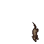 Ghost Rat