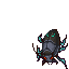 Herd Weevil