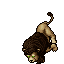 Noble Lion