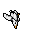 Seagull