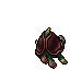 Two-Headed Turtle